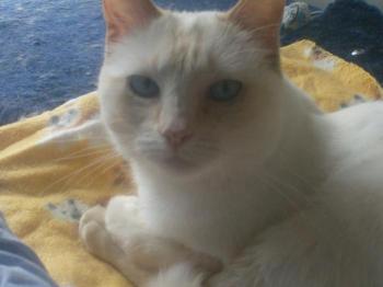 b Bild von Blanquita