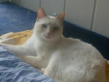 b Bild von Blanquita
