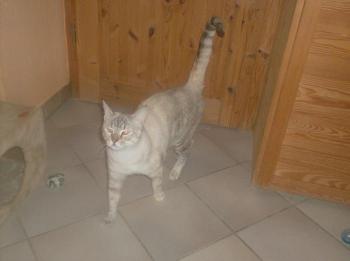 e Bild von Emily