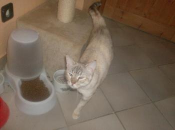 e Bild von Emily