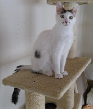 c Bild von Charlie