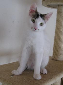c Bild von Charlie