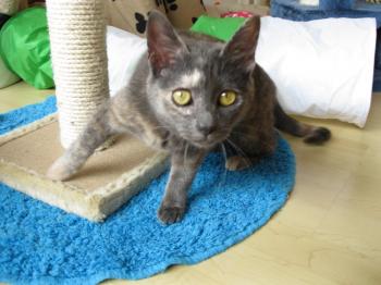 l Bild von Lulu