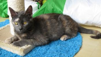 l Bild von Lulu