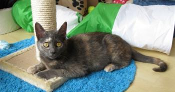 l Bild von Lulu