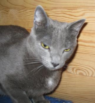 l Bild von Lisa