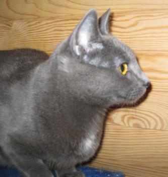 l Bild von Lisa