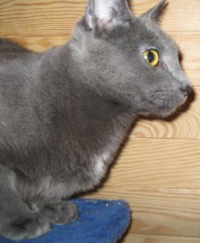 l Bild von Lisa