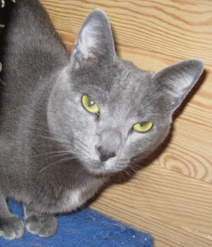 l Bild von Lisa
