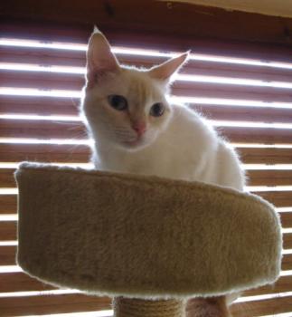 c Bild von Chiquineja