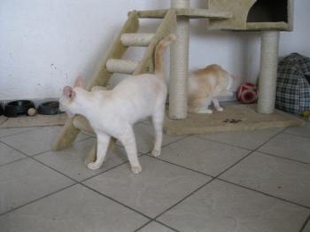 m Bild von Cashew