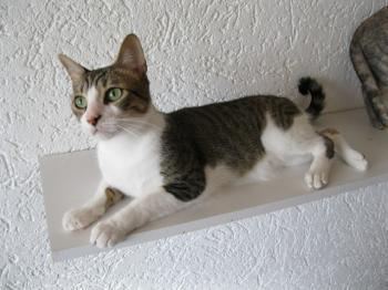 k Bild von Karem