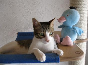 k Bild von Karem