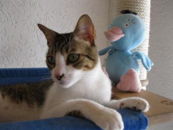 k Bild von Karem