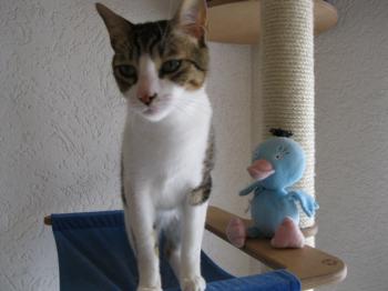 k Bild von Karem