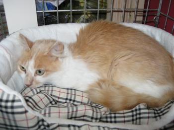 r Bild von Rosalie