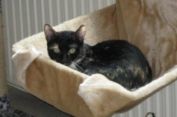 Bild von Uri
