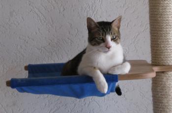 k Bild von Karem