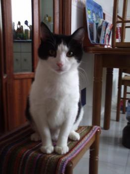 j Bild von Jeremias
