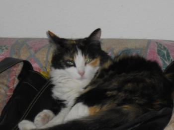 m Bild von Mara - 99