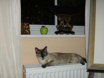 l Bild von Luna