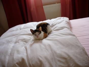 b Bild von Barbara