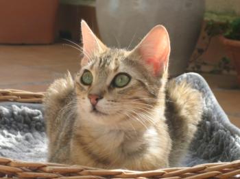 r Bild von Rania
