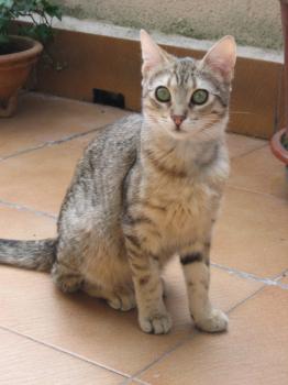r Bild von Rania
