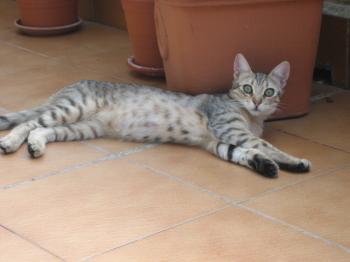 r Bild von Rania