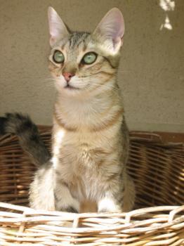 r Bild von Rania