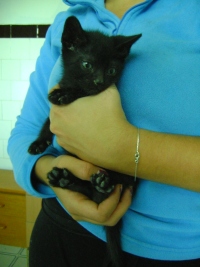 Bild von Mogly