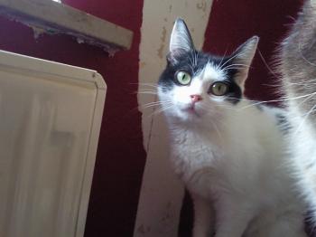 m Bild von Mitxi