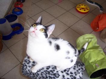 m Bild von Mitxi