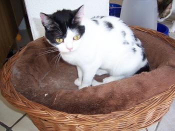 m Bild von Mitxi
