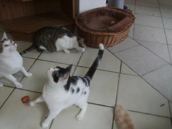 m Bild von Mitxi
