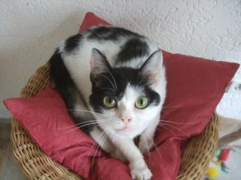 m Bild von Mitxi