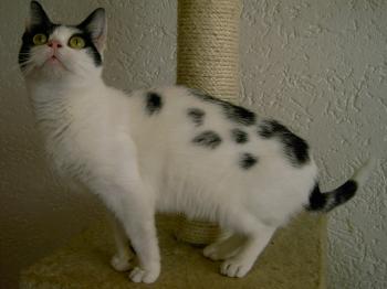 m Bild von Mitxi