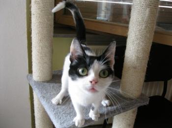 m Bild von Mitxi
