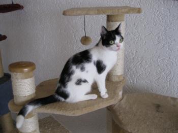 m Bild von Mitxi