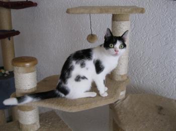 m Bild von Mitxi
