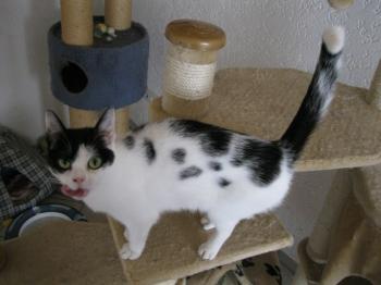 m Bild von Mitxi