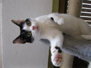 m Bild von Mitxi