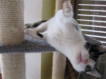 m Bild von Mitxi