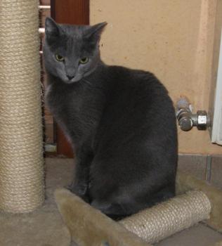 l Bild von Lisa