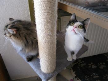 m Bild von Mitxi