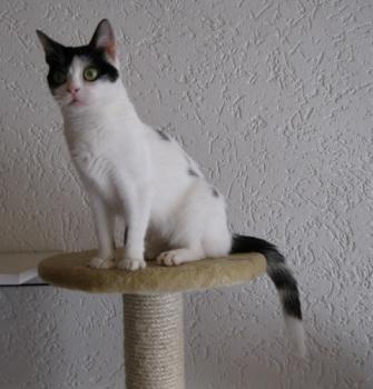m Bild von Mitxi