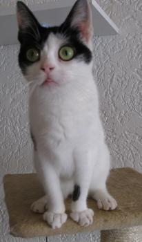 m Bild von Mitxi
