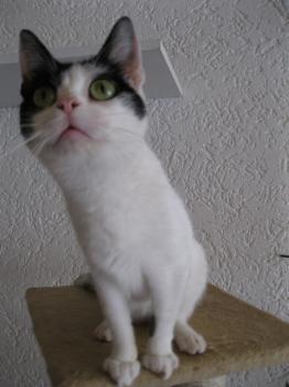 m Bild von Mitxi