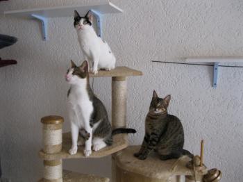 m Bild von Mitxi
