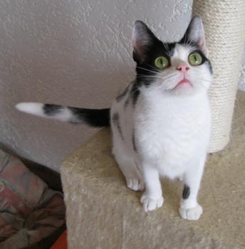 m Bild von Mitxi